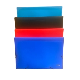 CARPETA 13 DIVISIONES OFICIO YIL 5553 C/ELASTICO